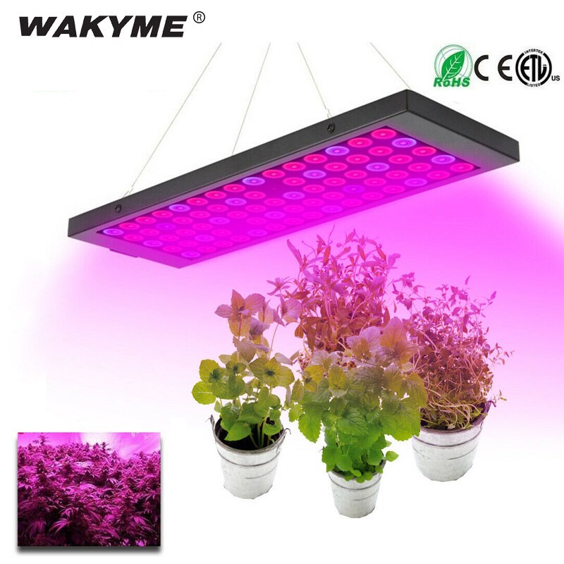 WAKYME-600W LED Ĺ  ,  , ü Ʈ..